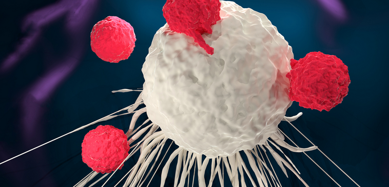 cancer cells